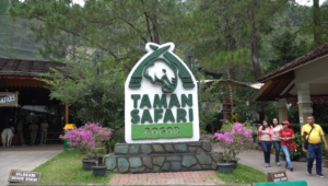 lihat binatang yuuukk Taman Safari Bogor